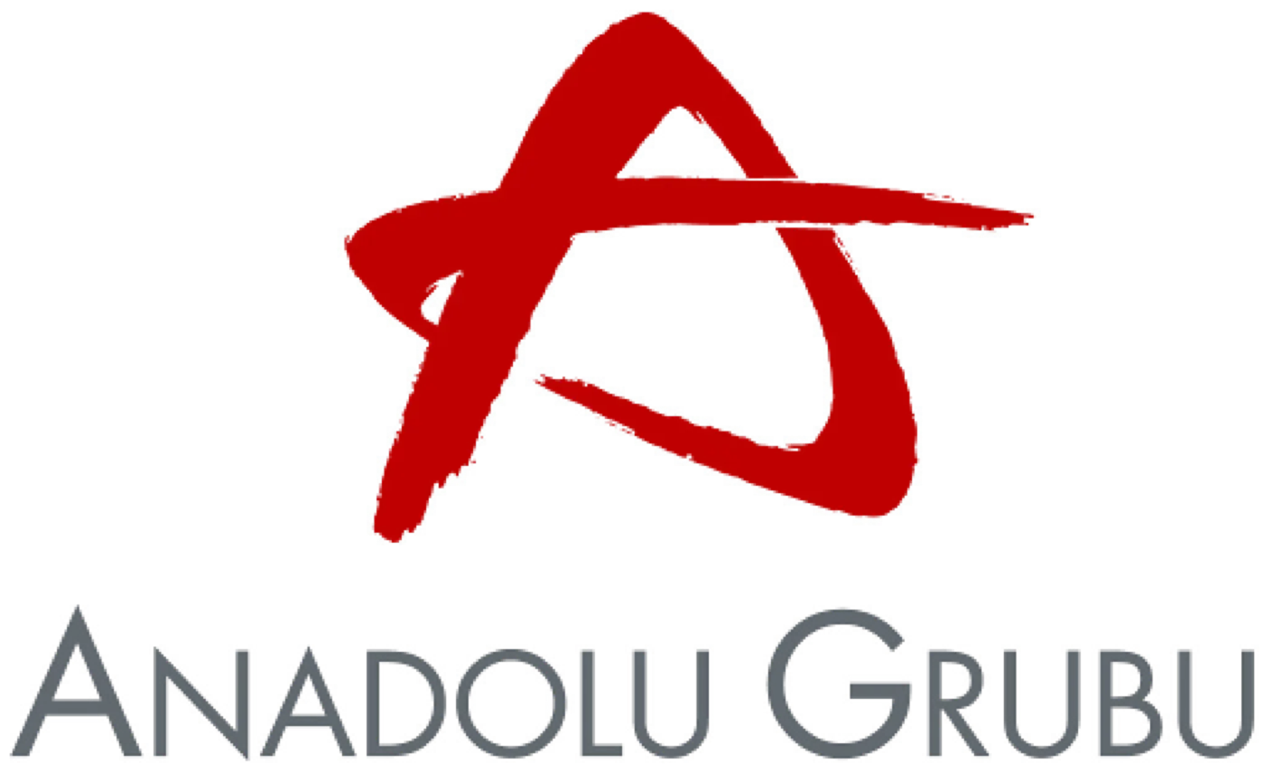 Anadolu Grubu