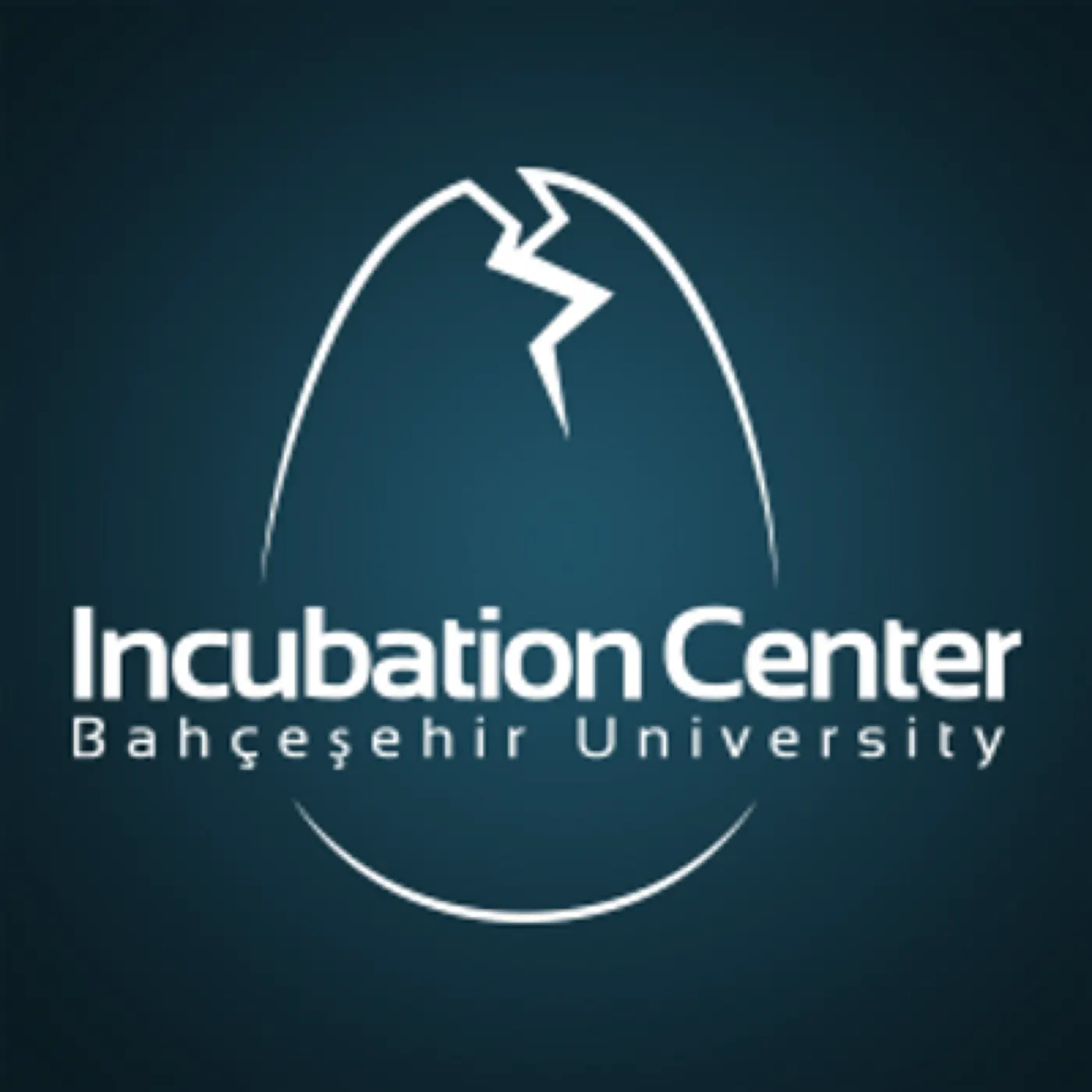 BAU Incubation (Bahçeşehir Üniversitesi Kuluçka Merkezi)