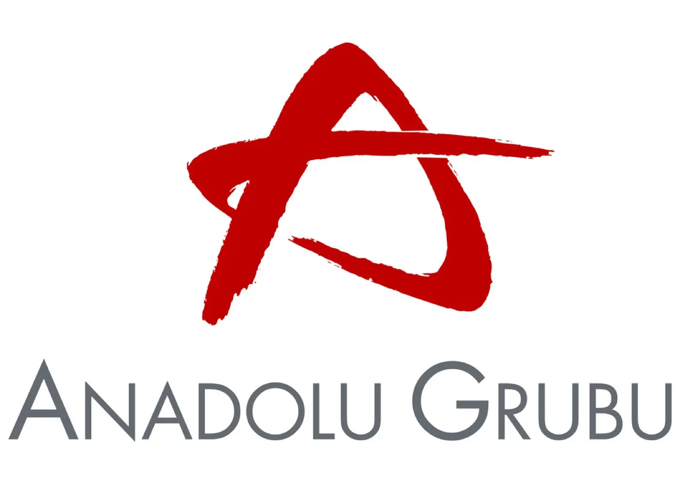 Anadolu Grubu